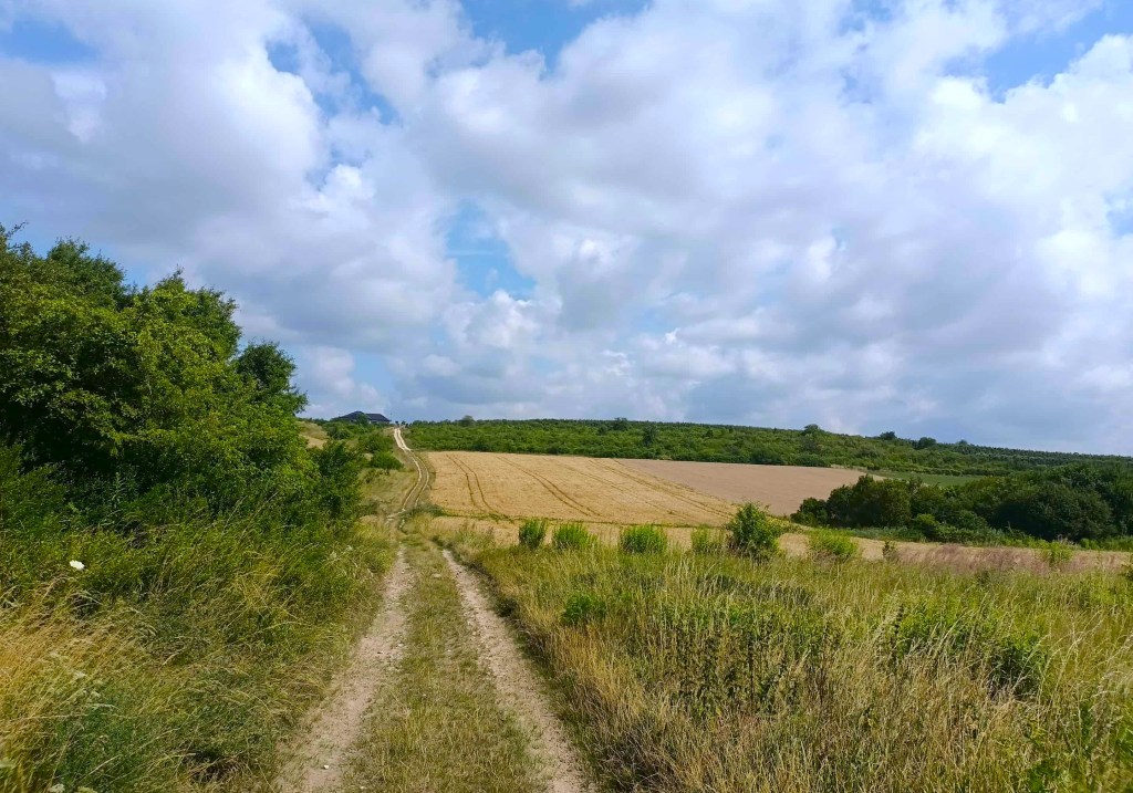 Mstów – turystyczna perełka, gdzie kochankowie zamienieni są w skałę, a ze wzgórz widać wielką&nbsp;historię