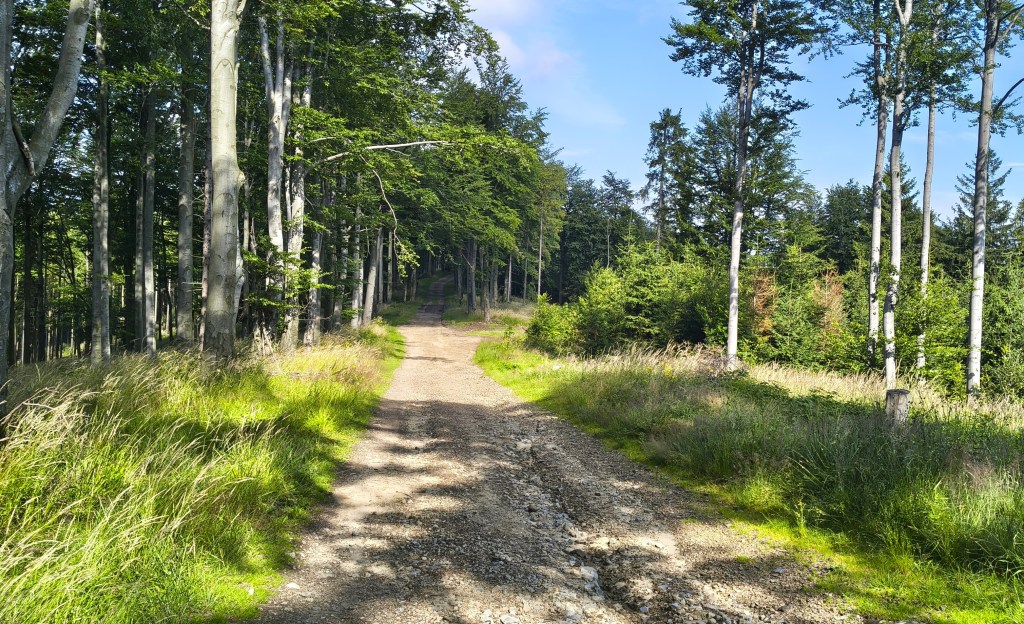 Czeska pętla w Beskidzie Śląsko-Morawskim: w poszukiwaniu zaginionych&nbsp;widoków
